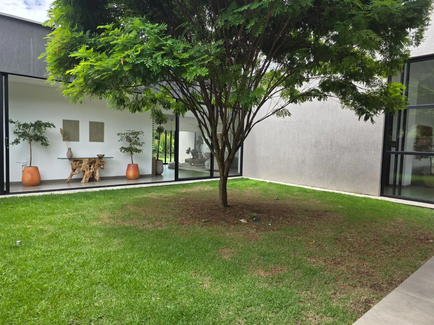 Patio central con árbol, césped y corredor de piedra